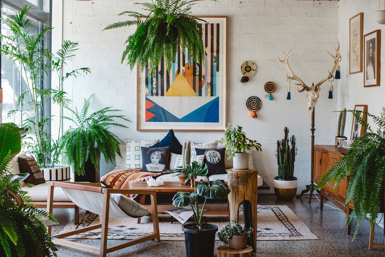 living room interior with plants