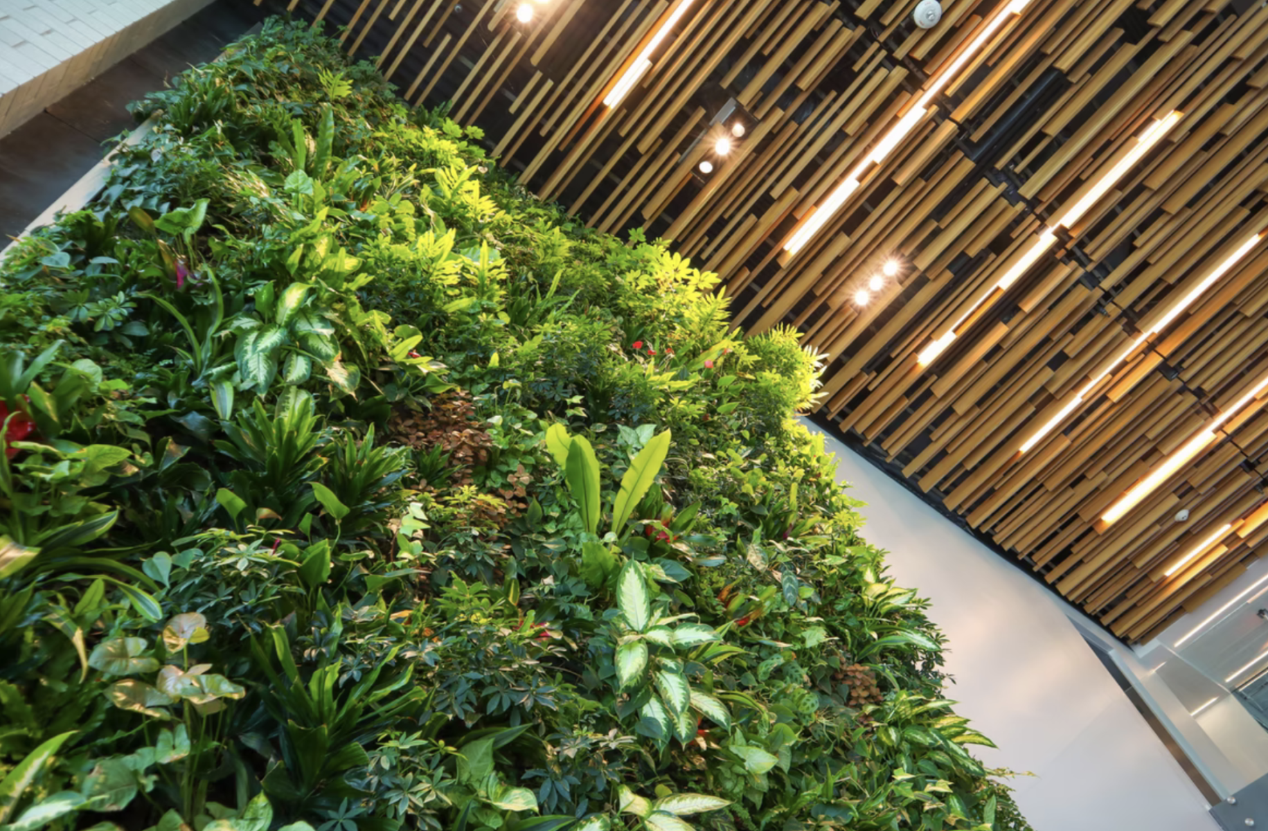 5 Simple But Inspiring Ideas For Commercial Landscapes