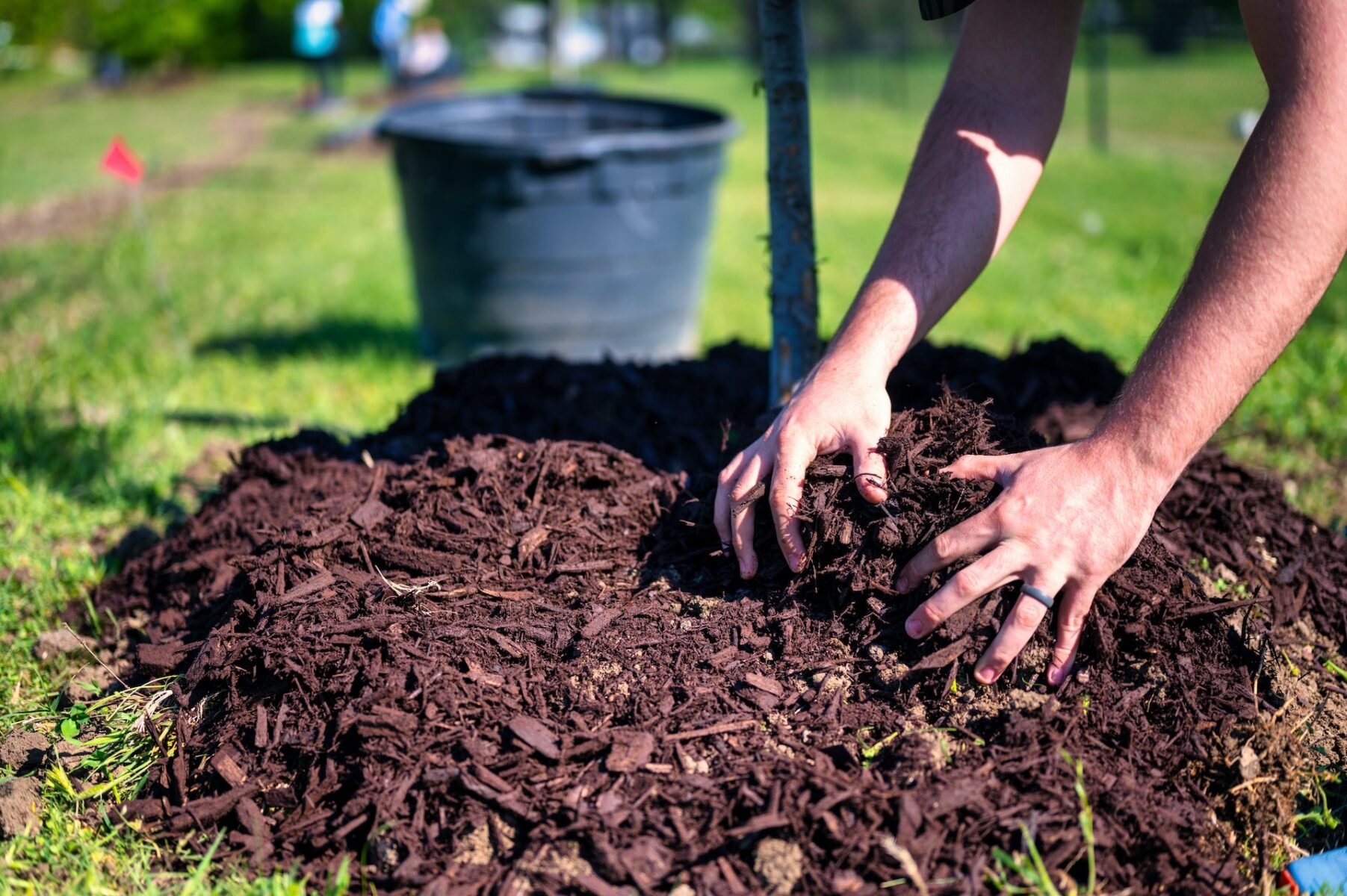 9 Mulch Products to Keep Your Landscape Beautiful