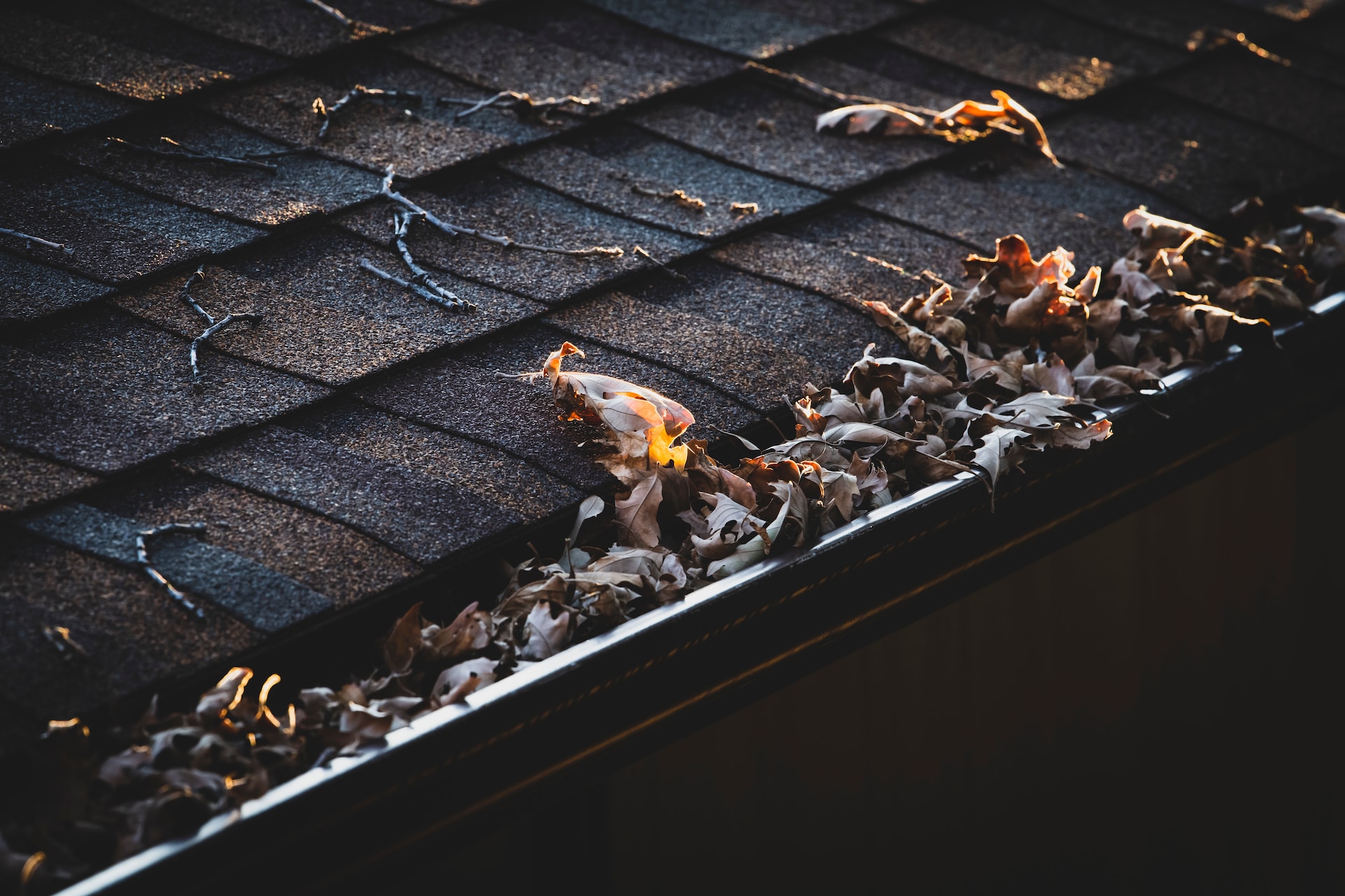 Understanding the Benefits of Seamless Gutters for Homes