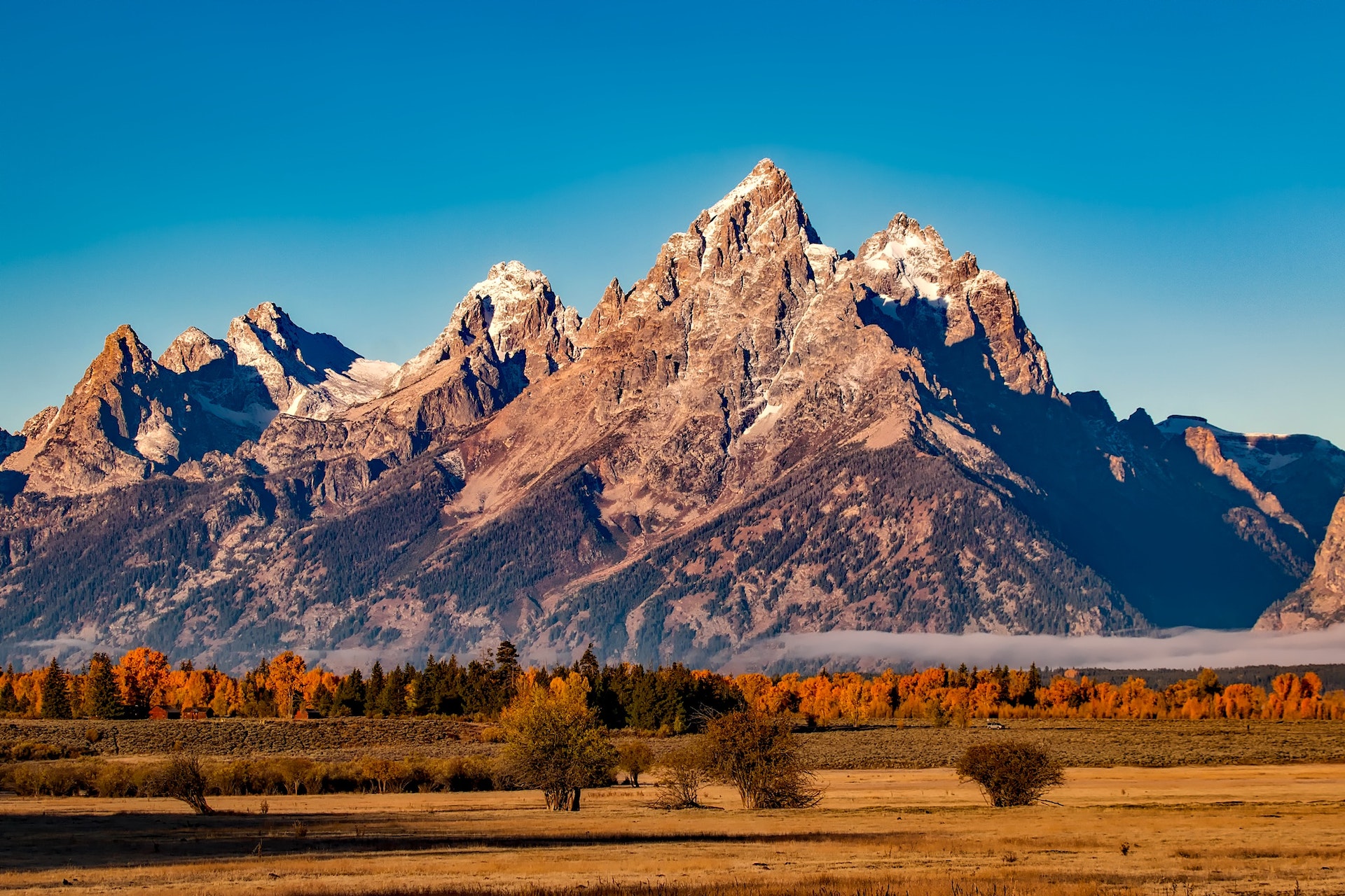 Escape to Jackson Hole: Explore Home Rentals in Style