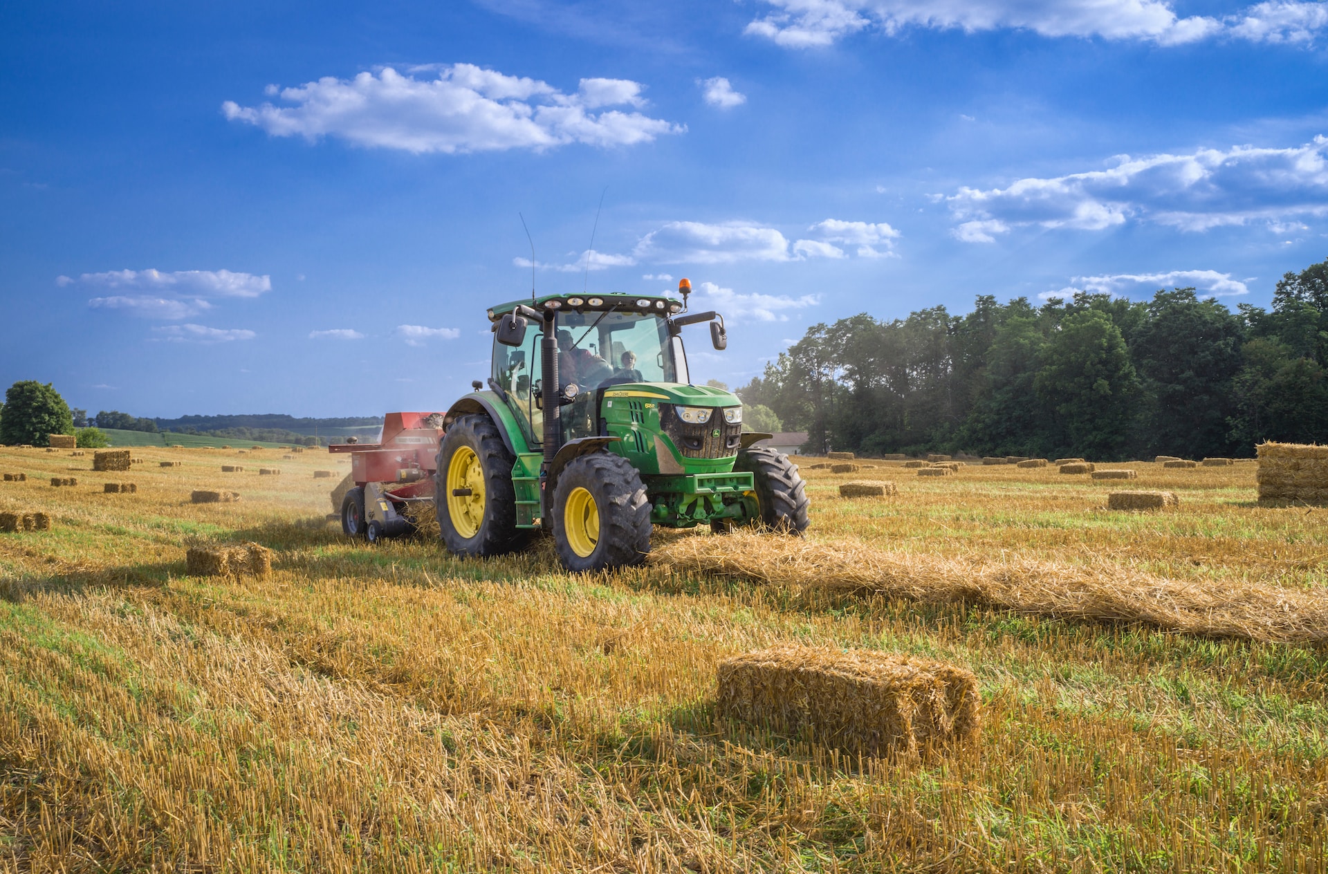 Making Way for Your Dream Home: Skidders in Lot Clearing