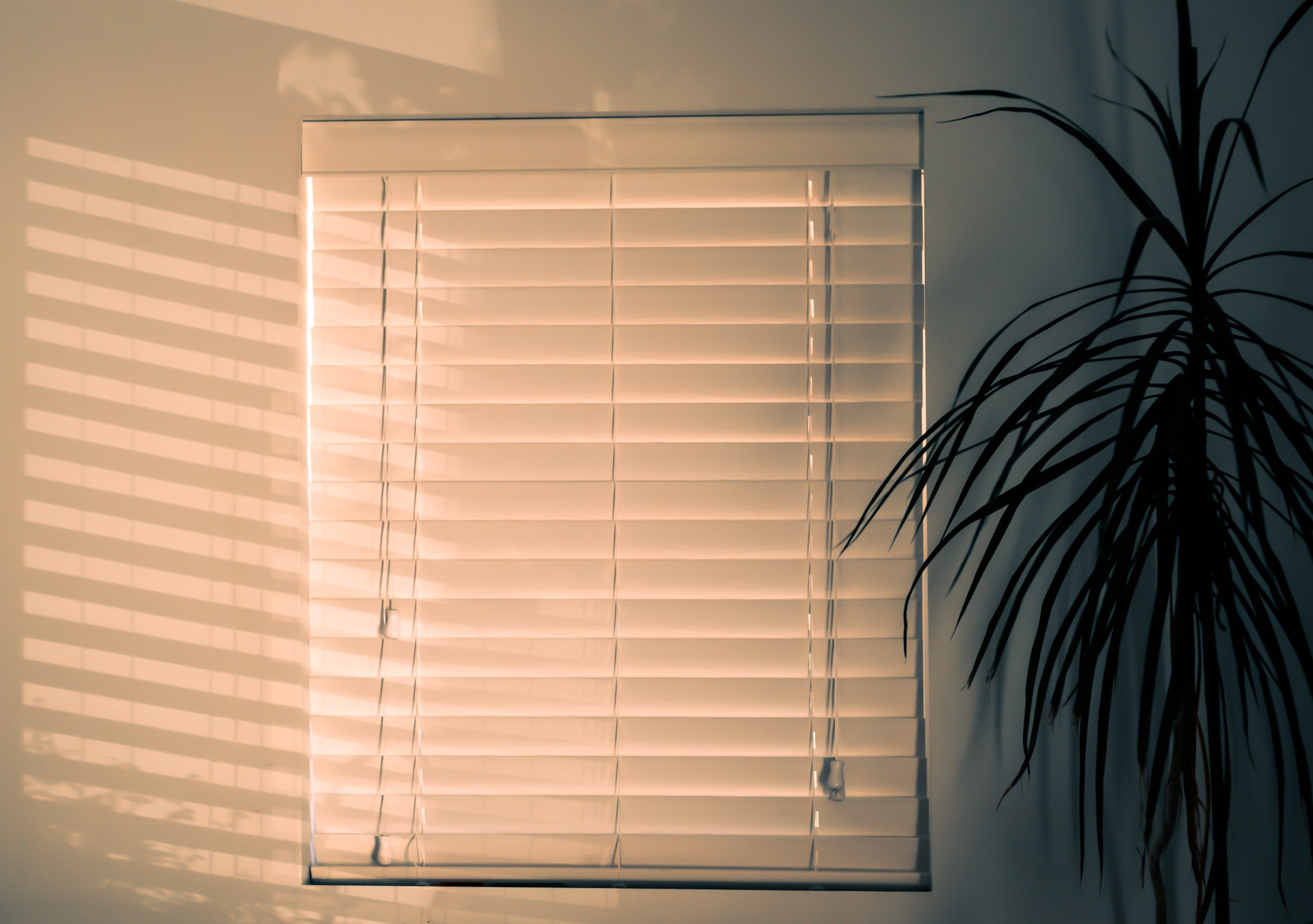 Modern Elegance: A Guide to Contemporary Blinds and Shutters in the Living Room