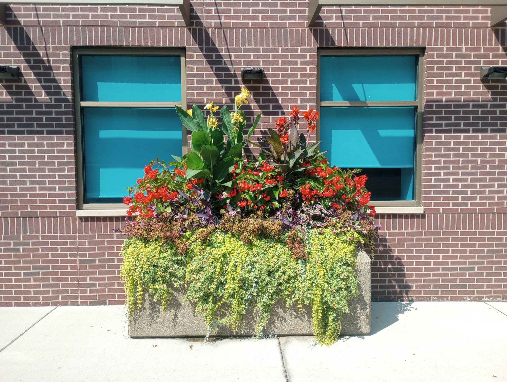 7 Ways To Use Window Box Planters To Enhance Your Home’s Exterior