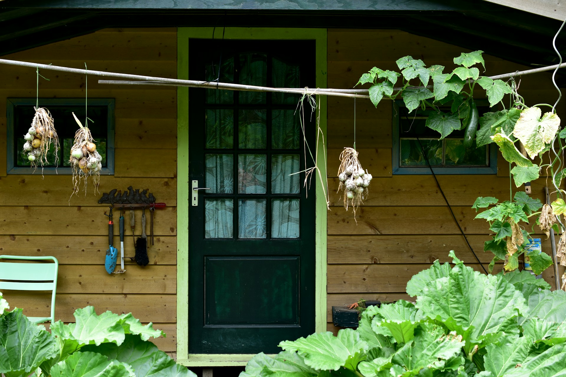 Your Garden Shed Solution: Everything You Need to Know Before You Buy